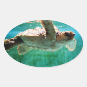 Ovalada Pegatina de la cabeza de registro #1