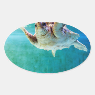 Ovalada Pegatina de la cabeza de registro #5