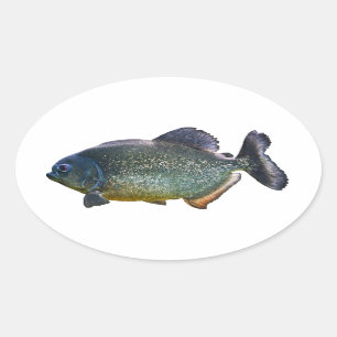 Ovalada Pegatina de la piraña