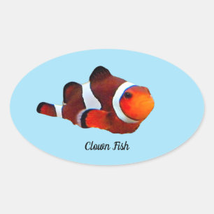 Ovalada Pegatina De Pescado De Payaso