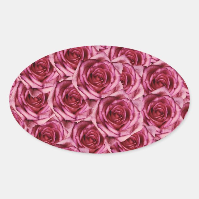 Ovalada Pegatina de rosas rosadas (Anverso)