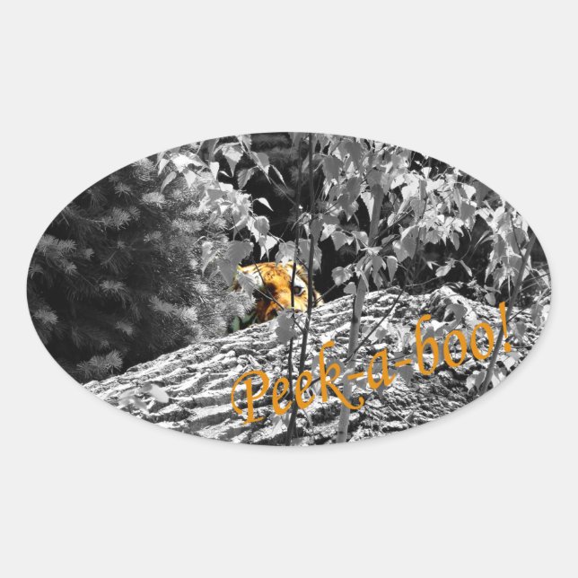 Ovalada Pegatina de Tigre Peek-a-boo (Anverso)