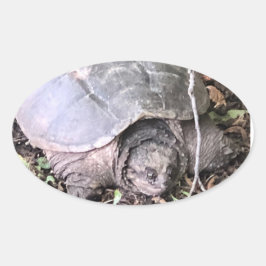 Ovalada Pegatina de tortuga