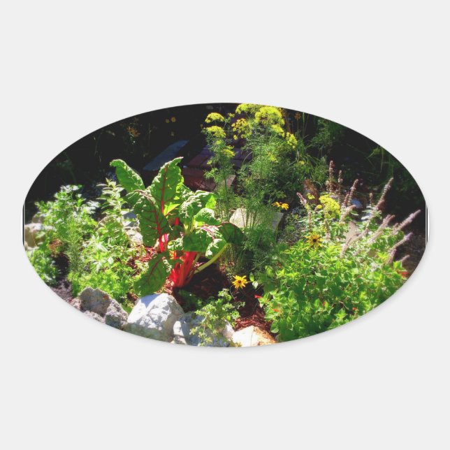 Ovalada Pegatina del jardín de hierbas (Anverso)