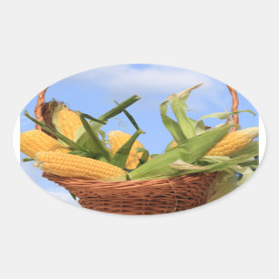 Ovalada Pegatina del maíz en la mazorca
