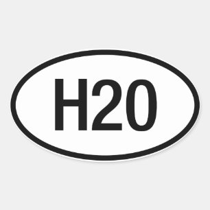 Ovalada Pegatina del motor de Datsun Nissan H20