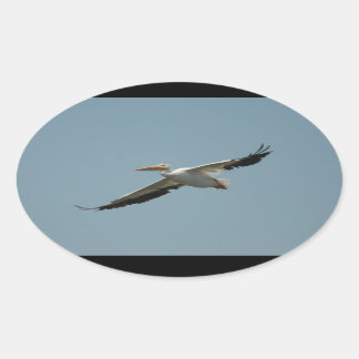 Ovalada Pegatina Flying Pelican 4