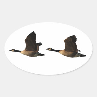 Ovalada Pegatina Geese Volador