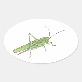 Ovalada Pegatina Grasshopper