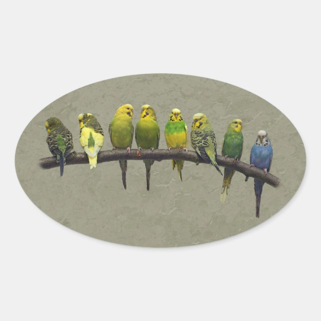 Ovalada Pegatina Odd One Out (Anverso)