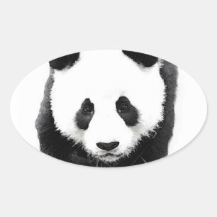 Ovalada Pegatina Panda Face Oval