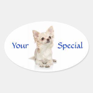 Ovalada Tu Chihuahua de Pelo Especial Pegatina