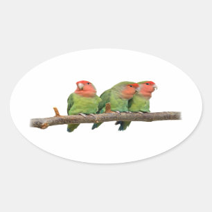 Ovalada Tweet Trio Pegatina