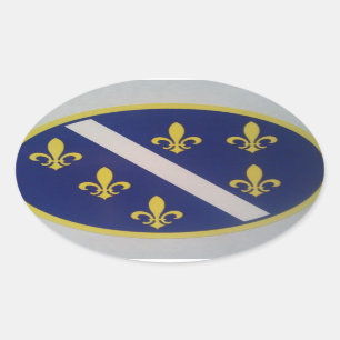 Ovalada Viejo pegatina bosnio de la bandera