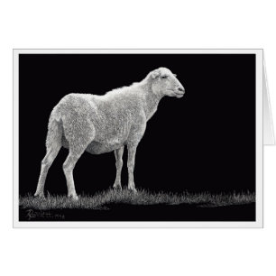 Oveja de la tormenta