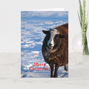Oveja de Navidad