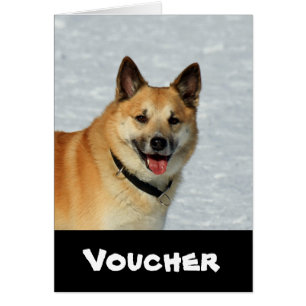 Oveja islandesa20150904