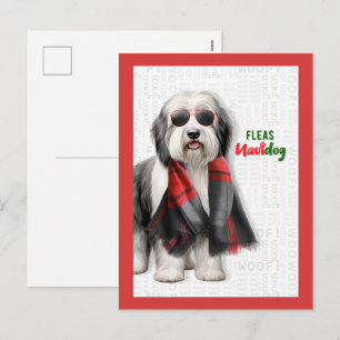 Oveja linda Navidog Payaso Pulgas Navidad