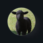 Oveja negra - botón<br><div class="desc">Oveja negra - botón</div>