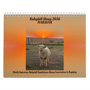 Ovejas Babydoll Southdown Calendario NABSSAR 2026