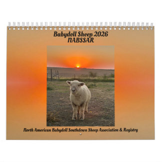 Ovejas Babydoll Southdown Calendario NABSSAR 2026
