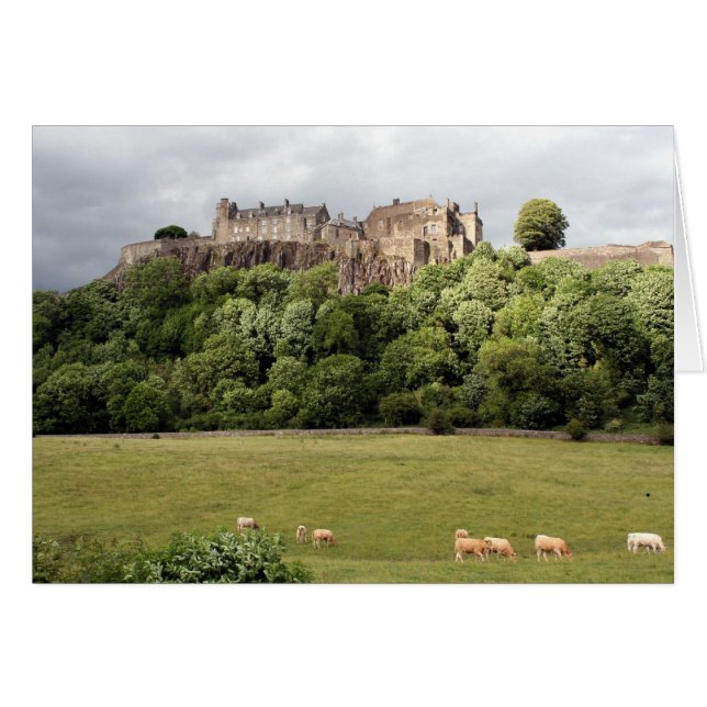 ovejas de castillo agitador (Anverso (Horizontal))