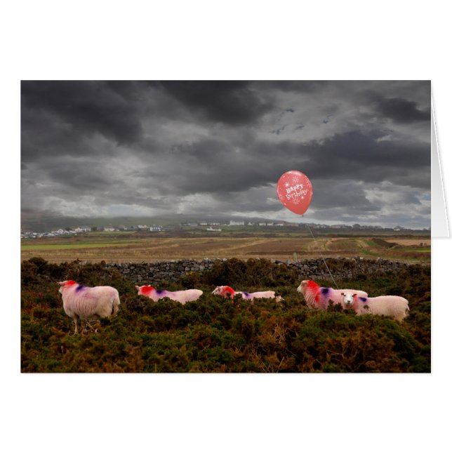 Ovejas de cumpleaños (Anverso (Horizontal))