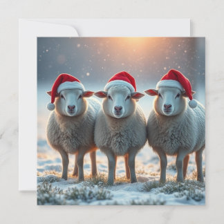 Ovejas de Navidad