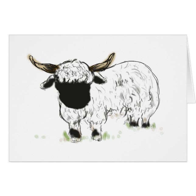 Ovejas del blacknose de Valais (Anverso (Horizontal))