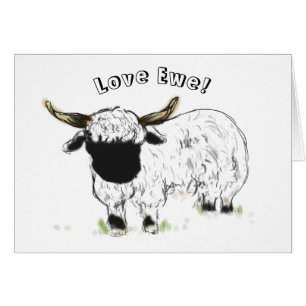 ¡Ovejas del blacknose de Valais - oveja del amor!