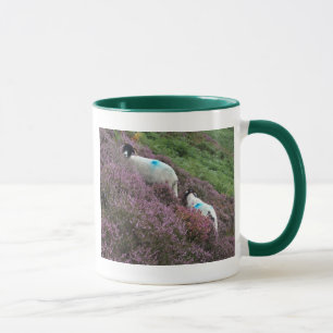 Ovejas en taza del brezo