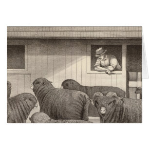 Ovinos merino franceses