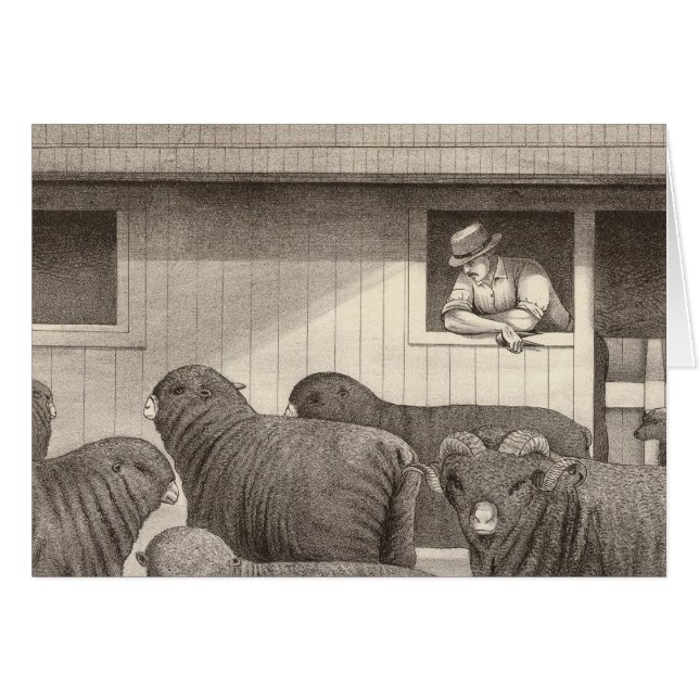 Ovinos merino franceses (Anverso (Horizontal))