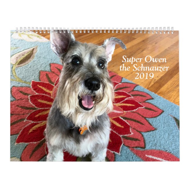 Owen estupendo el calendario del Schnauzer 2019 (Tapa)