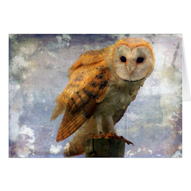 Owl All Occassion Blank Inside Greaming Card (Anverso (Horizontal))