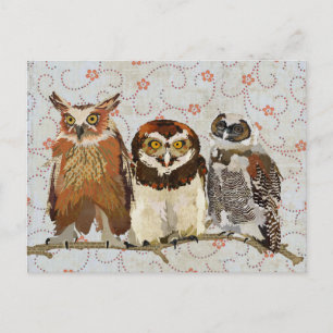 OWL EN UNA postal DE FILA