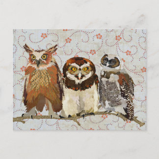 OWL EN UNA postal DE FILA