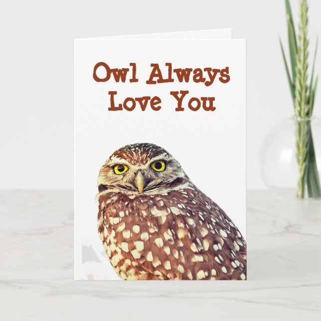 Owl Siempre Te Ama La Tarjeta De Saludo De Ocasión (Anverso)