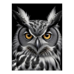 Owl Wildlife Majestic Nature Life Poster de fondo