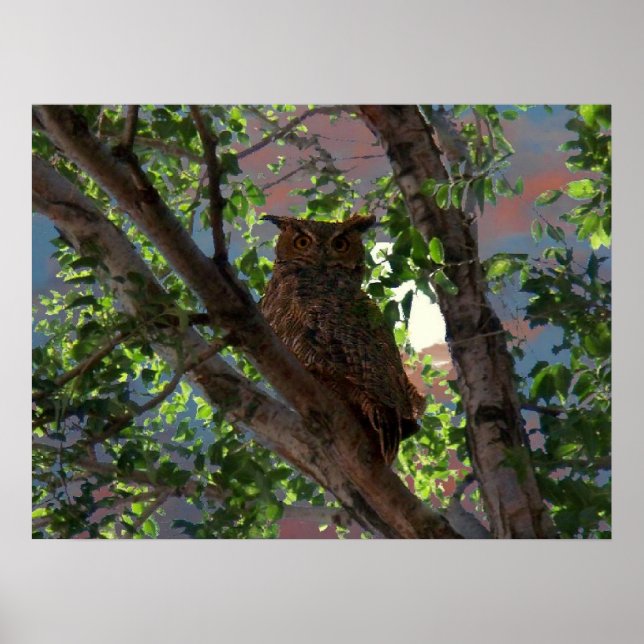 Owl y la impresión de la luna (Frente)