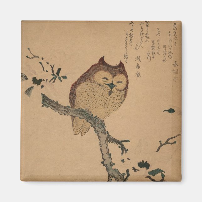Owl y Magnolia: imán japonés Ukiyo-e (Frente)