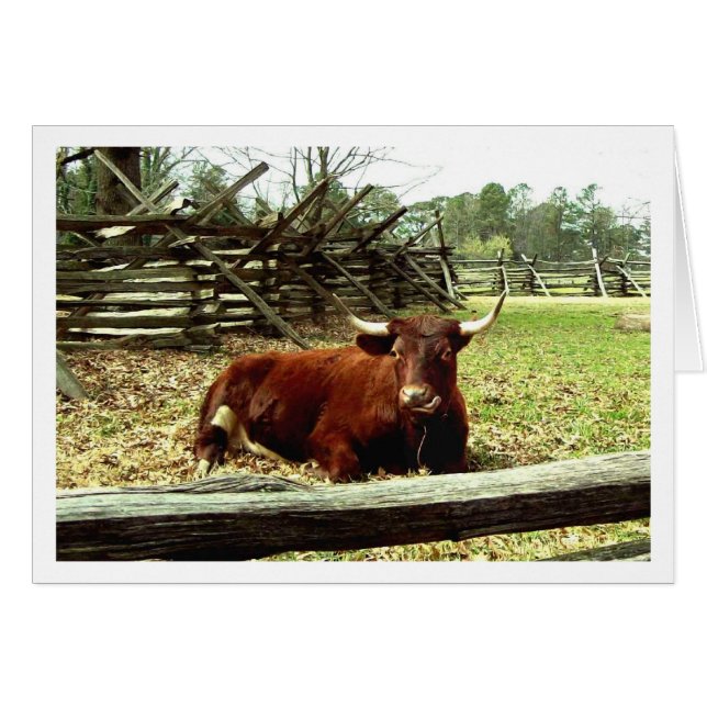 Ox en la pastura (Anverso (Horizontal))
