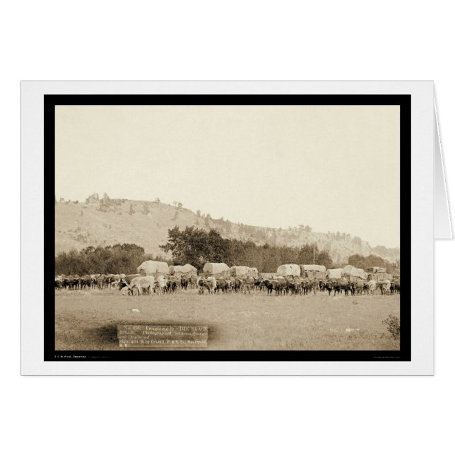 Ox Teams & Wagons Freighting Black Hills SD 1887 (Anverso (Horizontal))