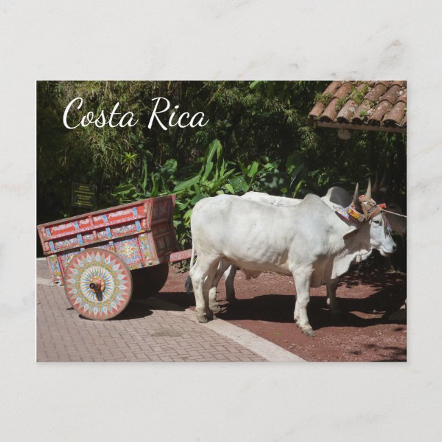 Oxcart, postal de Costa Rica (Anverso)