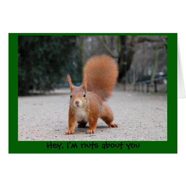 Oye, estoy loco por ti (Anverso (Horizontal))