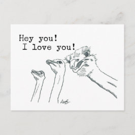 ¡Oye, Tú! ¡Te Amo! - Tarjeta postal de Ostrich