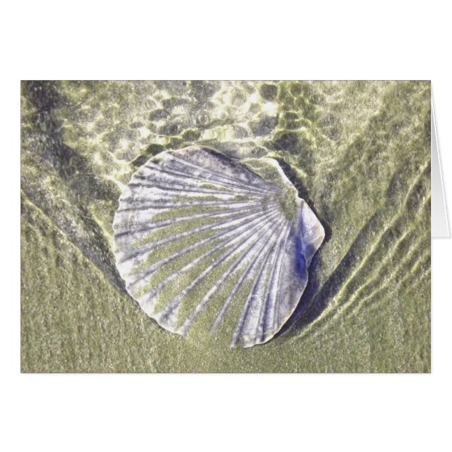 Oyster Shell Underwater (Anverso (Horizontal))