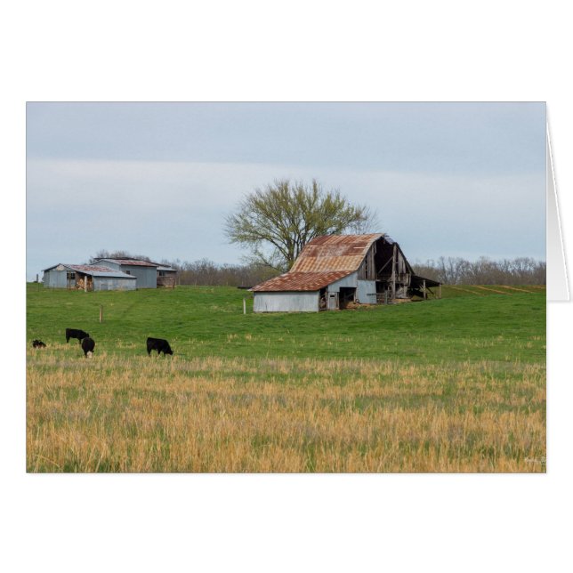 Ozark Old Farm (Anverso (Horizontal))