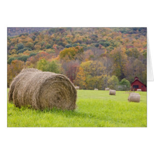 Pacas de heno y follaje de otoño en la granja,