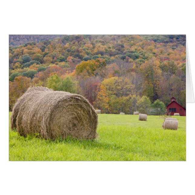 Pacas de heno y follaje de otoño en la granja, (Anverso (Horizontal))